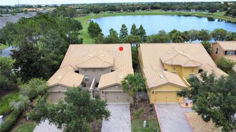 2316 Palm Tree Drive, home for sale on Palm Tree Drive