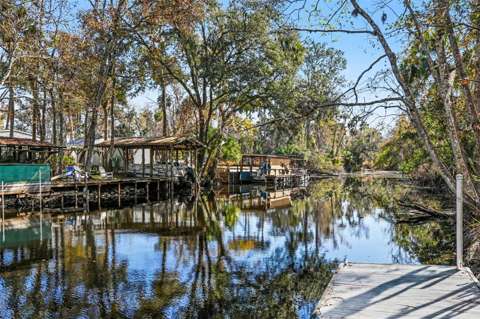 24421 Trespass Trail, home for sale in Astor 32102
