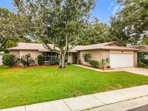 10617 Seminole Forest Street, home for sale in Seminole 33778