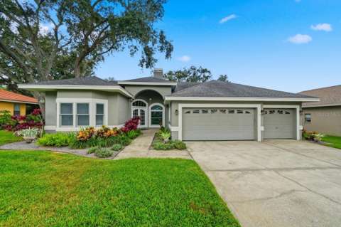 700 Westfield Court, luxury home for sale in Dunedin