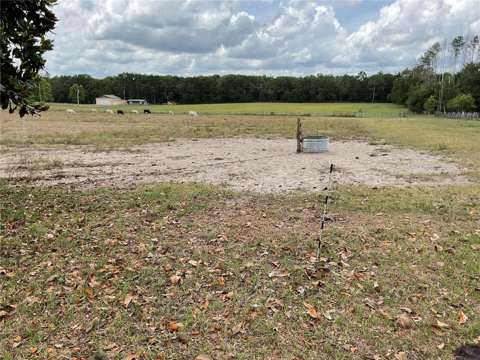 9750 NE 49Th Street, home for sale in Bronson 32621