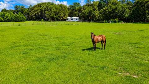 14240 Sr 471, $300k–$500k for sale in Webster