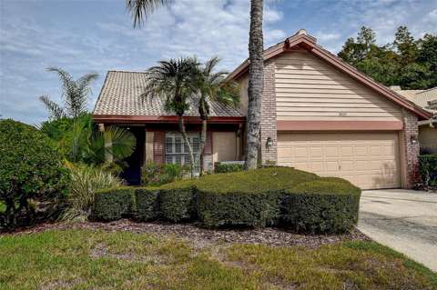 3609 Darston Street, home for sale in Palm Harbor 34685