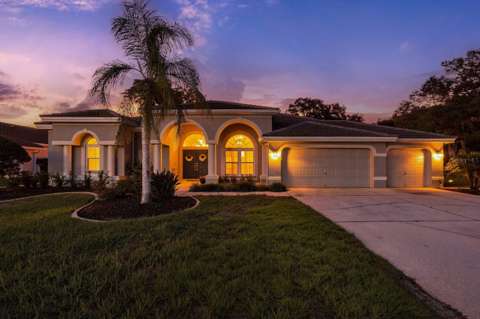 1003 Kings Way Lane, pool for sale in Tarpon Springs