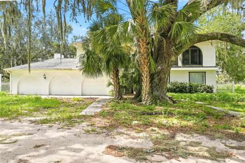 8731 Lithia Pinecrest Road, luxury home for sale in Lithia