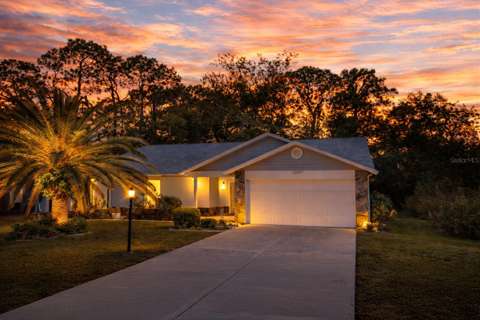 6402 Ocean Pines Lane, home for sale in Spring Hill 34606