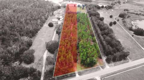 19751 County Road 33, home for sale in Groveland 34736