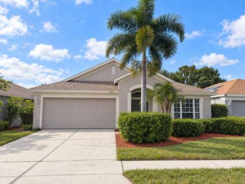 10412 Soaring Eagle Drive, home for sale in Riverview 33578