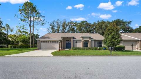 1385 Summerwood Court, $300k–$500k for sale in Spring Hill