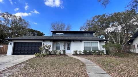 14009 Dominion Court, home for sale in Tampa 33613