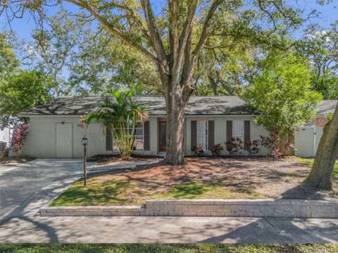 9627 Hidden Oaks Circle, home for sale in Tampa 33612