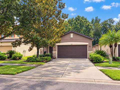 4506 Paper Mulberry Place, home for sale in Riverview 33578