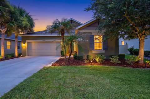 27035 Carolina Aster Drive, home for sale in Wesley Chapel 33544