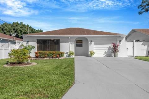 3017 W Heiter Street, home for sale in Tampa 33607