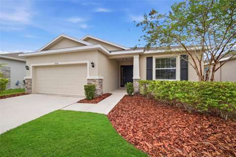 3940 Mossy Limb Court, home for sale in Palmetto 34221