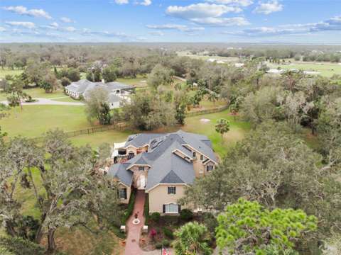 12709 Mannhurst Oak Lane, luxury home for sale in Lithia