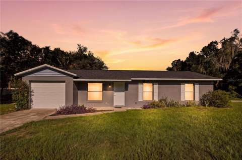 11720 SE 129Th Place, home for sale in Ocklawaha 32179
