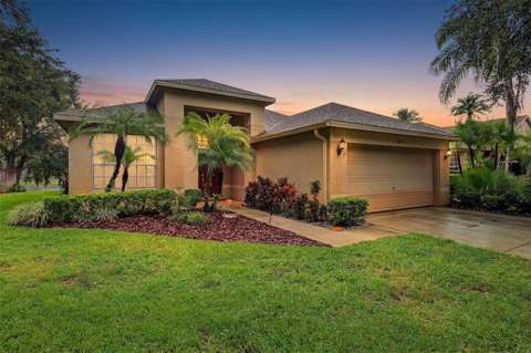 8417 Fenwick Avenue, home for sale in Tampa 33647
