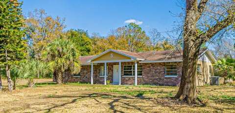 3902 Autumn Palm Drive, home for sale in Zephyrhills 33541