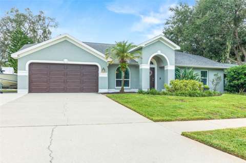 12417 Windswept Avenue, 4-bedroom for sale in Riverview