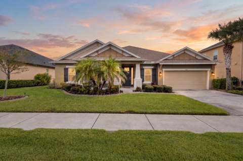 1584 Virginia Willow Drive, pool for sale in Wesley Chapel