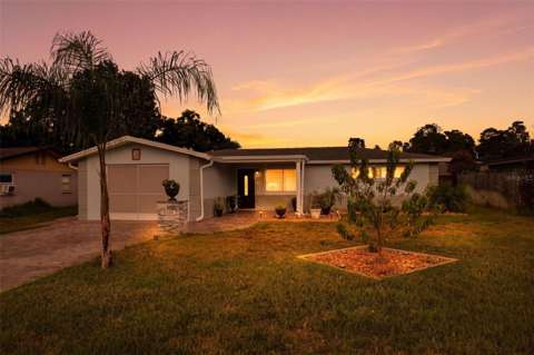 4108 Redwing Drive, home for sale in Spring Hill 34606