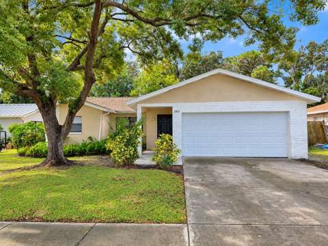 2821 Eagle Run Circle, starter home for sale in Clearwater