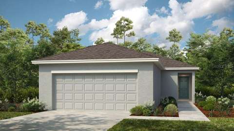 13512 Sawmill Street, starter home for sale in Parrish