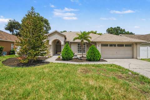 12410 Driftstone Way, 4-bedroom for sale in Riverview