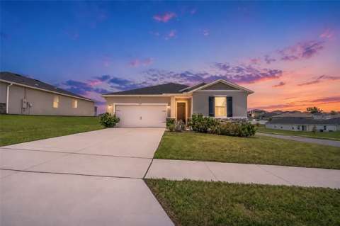3349 Pink Oleander Avenue, home for sale in Mascotte 34753