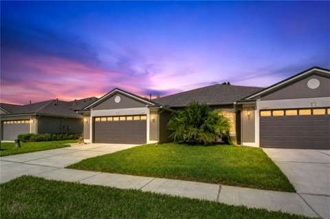 1127 Wrightswynde Court, home for sale in Wesley Chapel 33543