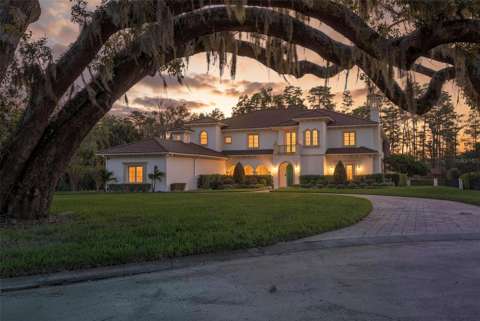 16203 Sentry Woods Court, home for sale in Odessa 33556