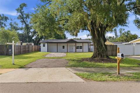 1707 E Frierson Avenue, home for sale in Tampa 33610