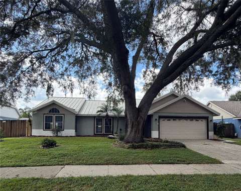 2007 Darlington Oak Drive, home for sale in Seffner 33584