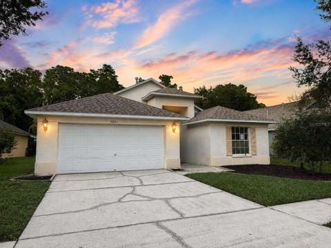 12533 Sparkleberry Road, home for sale in Tampa 33626