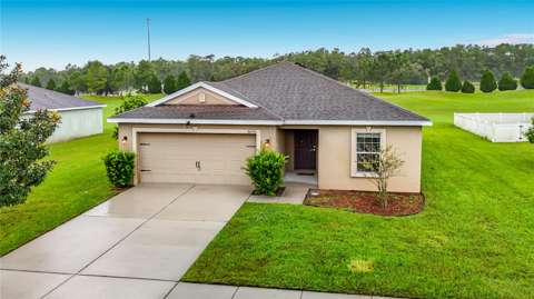 30541 Satinleaf Run, home for sale on Satinleaf Run