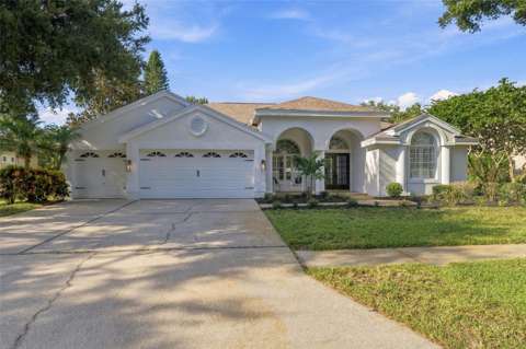 3553 Florian Terrace, home for sale in Palm Harbor 34685