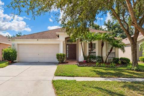 13233 Early Run Lane, home for sale in Riverview 33578