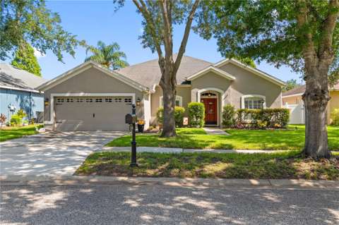 11916 Summer Springs Drive, pool for sale in Riverview