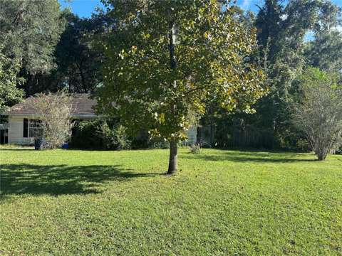 608 NW 9Th Court, home for sale in Williston 32696