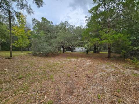7651 NE 128Th Lane, home for sale in Bronson 32621