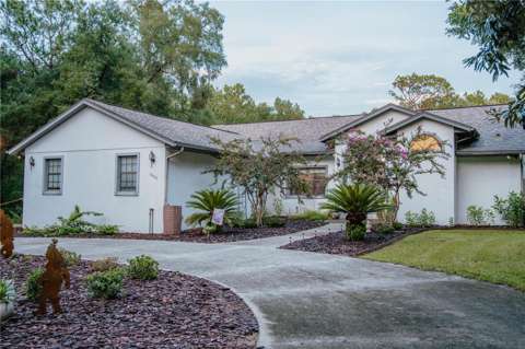 12009 S Daffodil Point, home for sale in Floral City 34436