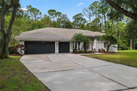3951 Brightside Lane, pool for sale in Palm Harbor