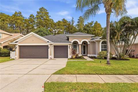 439 Denise Street, pool for sale in Tarpon Springs