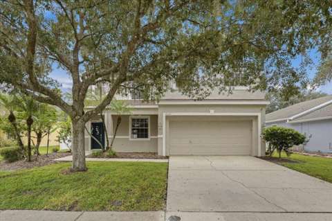19149 Dove Creek Drive, golf community for sale in Tampa