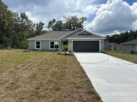 2170 W G Martinelli Boulevard, home for sale in Dunnellon 34434
