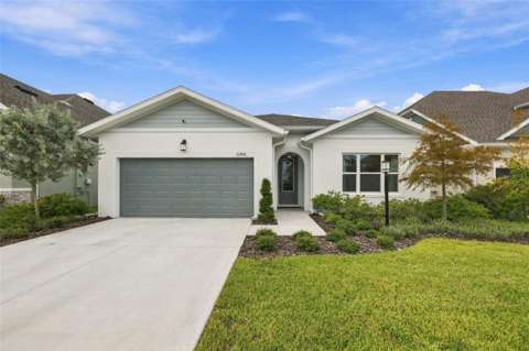 11854 Mile Marsh Drive, home for sale in Riverview 33569