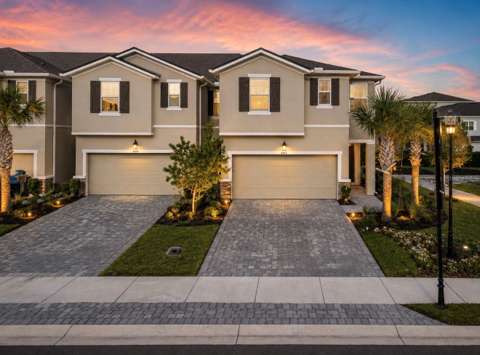 4062 Cloud Hopper Way, home for sale in Lutz 33559