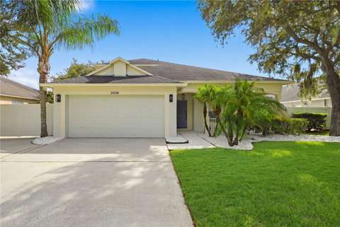 22536 Laureldale Drive, pool for sale in Lutz