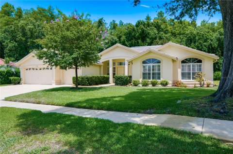 3187 Sterling Street, home for sale in Tarpon Springs 34688